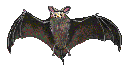 bat.gif (2841 bytes)